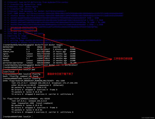 docker entrypoint.sh_docker entrypoint.sh_docker entrypoint.sh