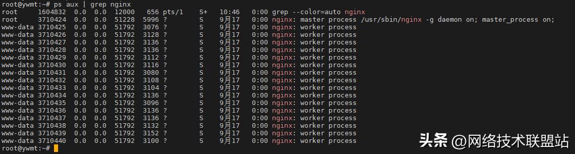 Linux故障诊断命令_linux启动nginx命令_Linux系统日志管理