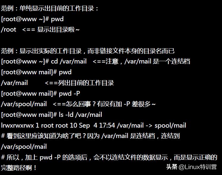 linux启动nginx命令_Linux常用命令学习_Linux入门基本命令
