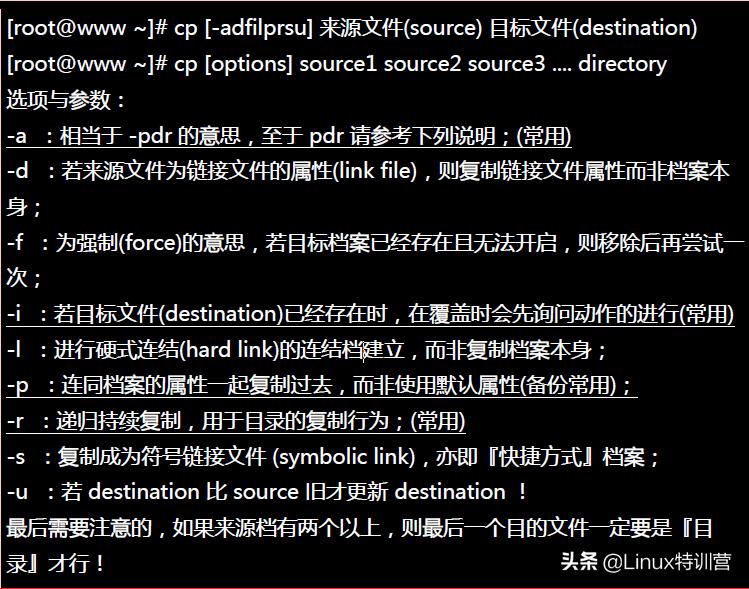 linux启动nginx命令_Linux常用命令学习_Linux入门基本命令