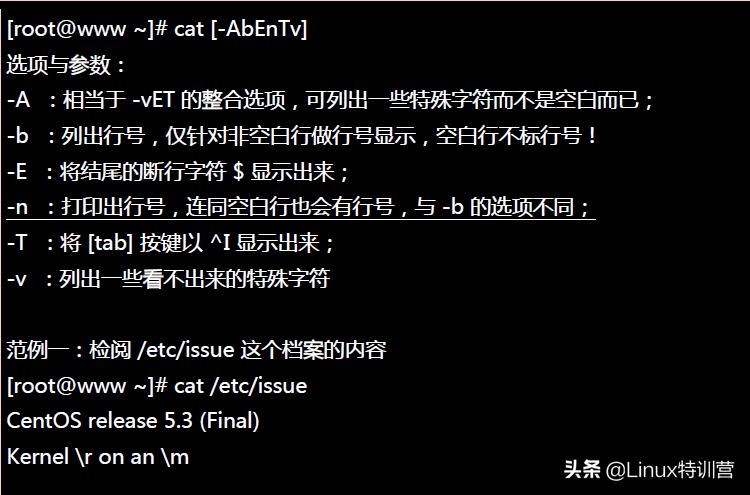 Linux常用命令学习_linux启动nginx命令_Linux入门基本命令