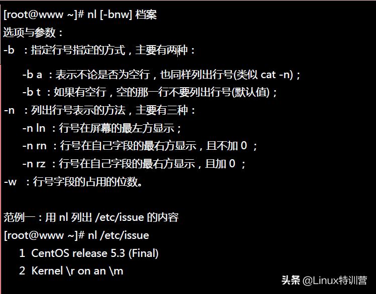 linux启动nginx命令_Linux入门基本命令_Linux常用命令学习