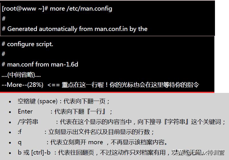 Linux入门基本命令_linux启动nginx命令_Linux常用命令学习