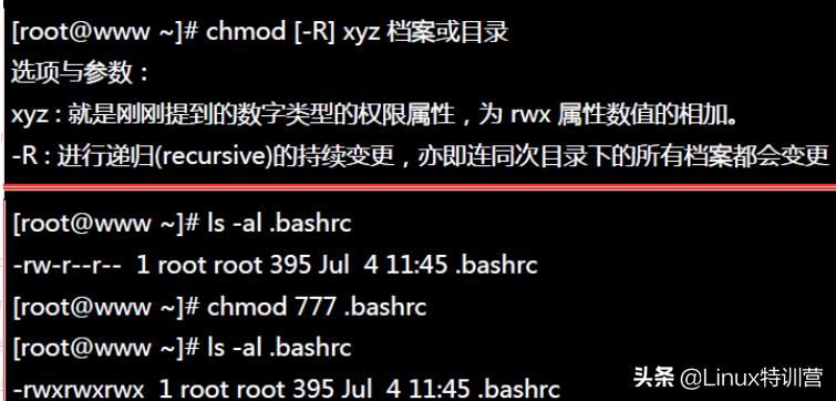 linux启动nginx命令_Linux入门基本命令_Linux常用命令学习
