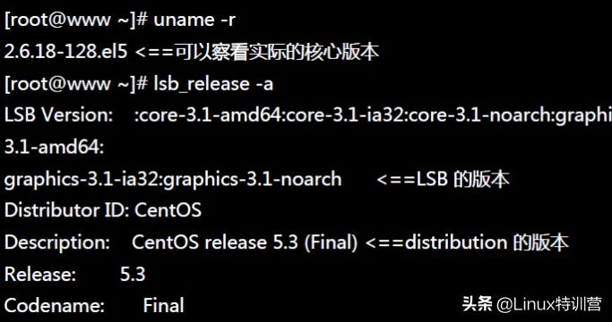 Linux入门基本命令_linux启动nginx命令_Linux常用命令学习