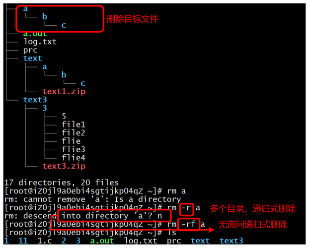 linuxls创建文件_linux ls -c_linuxls查找文件