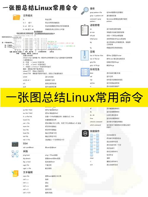 命令括号怎么打_linux中括号_linux find命令 括号