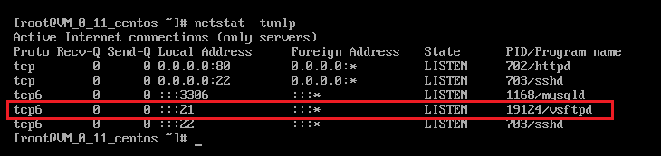 Linux 实例搭建 FTP 服务