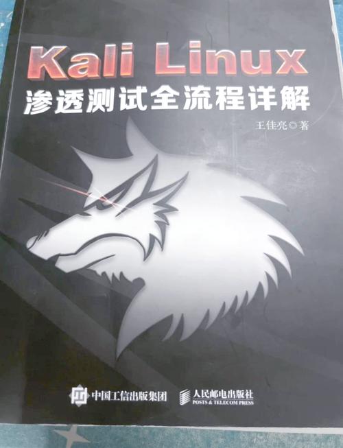 渗透测试使用的工具_渗透测试使用需求大幅增长_web渗透测试 使用kali linux pdf