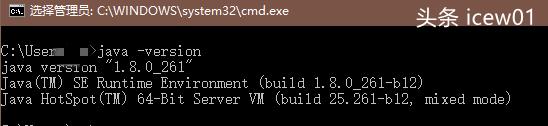 linux java8 安装配置_windows java8 安装配置_查看linux安装jdk版本