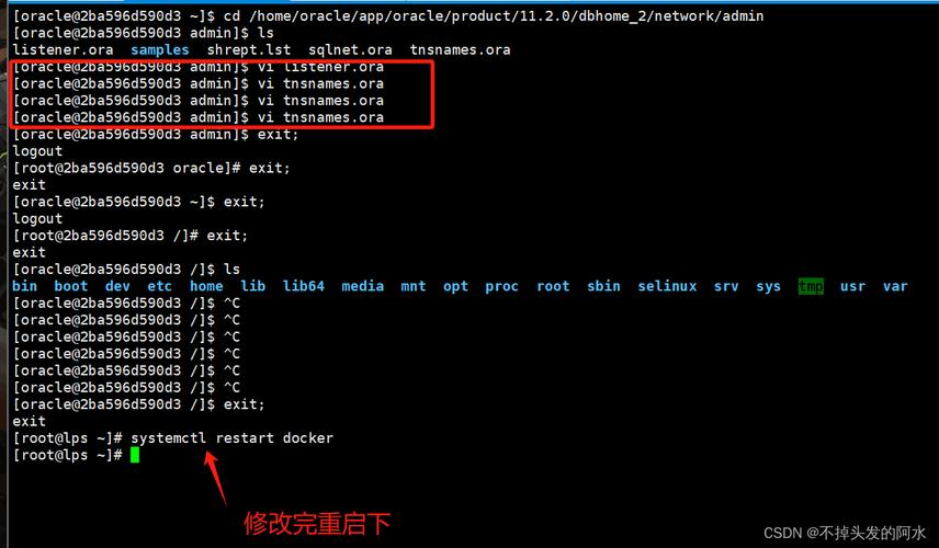 docker启动oracle_启动子的作用高中生物_启动项命令提示符