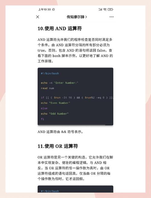 linux shell strip_linux shell strip_linux shell strip