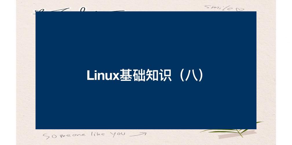 夹文件的塑料夹叫什么_find文件夹 linux_夹文件的夹子叫什么名字