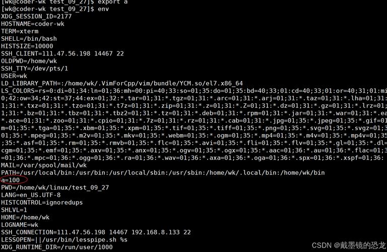 环境变量怎么安装_linux安装桌面环境变量_linux环境变量位置