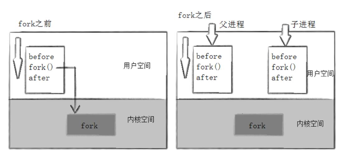 详述linux中信号处理方式_linux fork函数信号量_linux信号函数