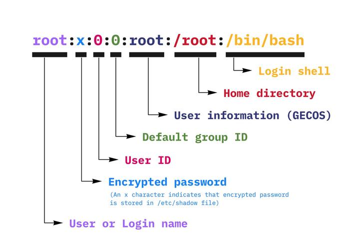 Linux /etc/passwd 结构解析_Unix 用户帐户信息_linux查看bin文件内容