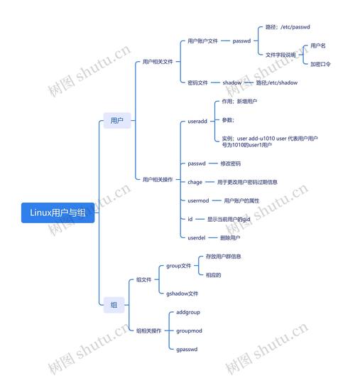 Linux用户类型_Linux用户登录过程_linux登录其它用户