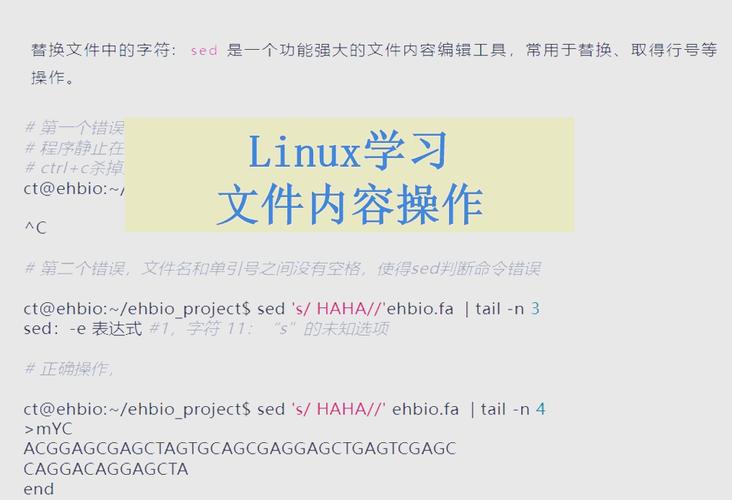 解压linuxrar_解压Linux_linux解压gz