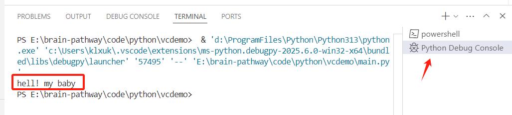 _centos python ide_ VSCode配置Python环境教程 