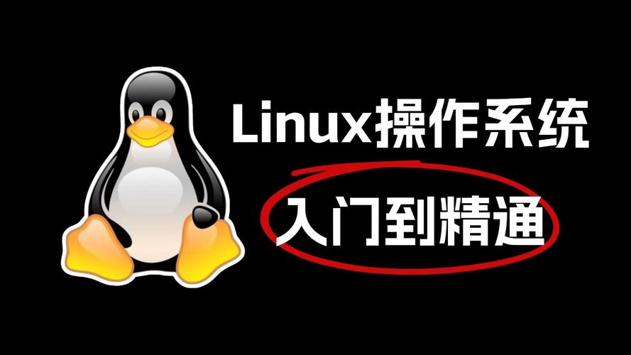龙天论坛注册码_龙天论坛exe视频破解_龙天论坛上的linux视频