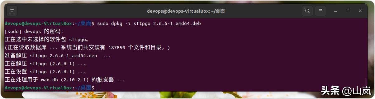 Ubuntu SFTP 服务器配置_SFTPGo 安装教程_linux操作系统安装 下载