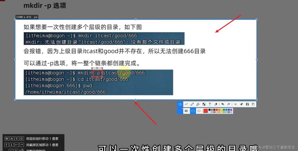 权限管理_linux mkdir权限_权限的英文