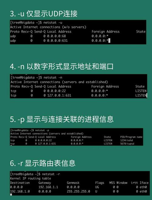 netstat输出信息详解_netstat命令使用方法_linux 命令 netstat