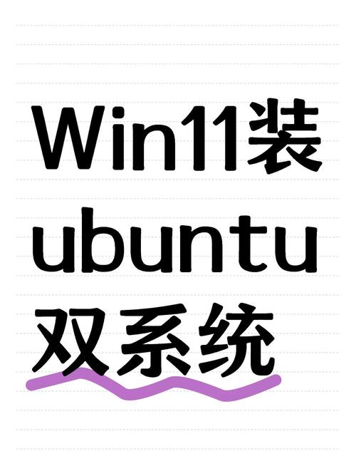 WoeUSB Ubuntu安装教程_Linux制作Windows11U盘_天意u盘维护系统网络linux版本