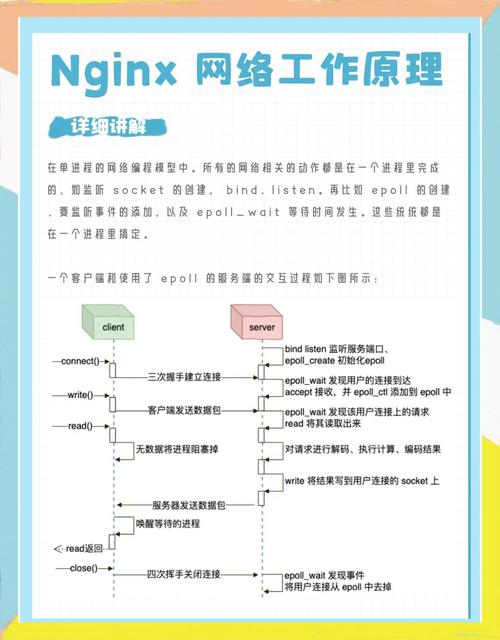 安装centos7_centosnginx安装_centos nginx 安装