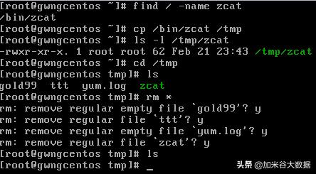 系统 linux_Linux基础知识_Linux基础操作