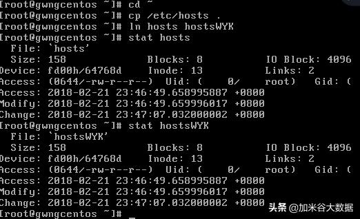 系统 linux_Linux基础知识_Linux基础操作