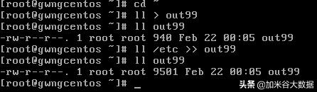 Linux基础知识_Linux基础操作_系统 linux