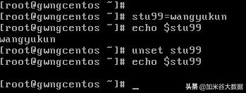系统 linux_Linux基础操作_Linux基础知识