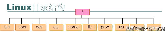 系统 linux_Linux基础知识_Linux基础操作