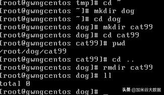 系统 linux_Linux基础操作_Linux基础知识