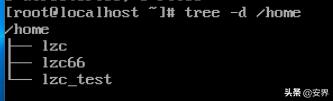 Linux文件系统结构_FHS标准目录规范_系统 linux