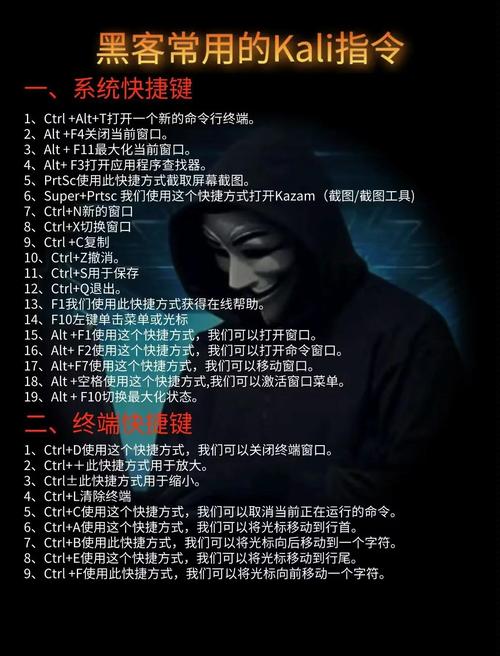 kali linux是什么_web渗透测试:使用kali linux_kali linux下载安装教程