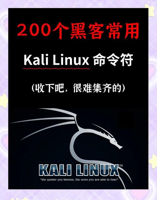 kali linux是什么_kali linux下载安装教程_web渗透测试:使用kali linux