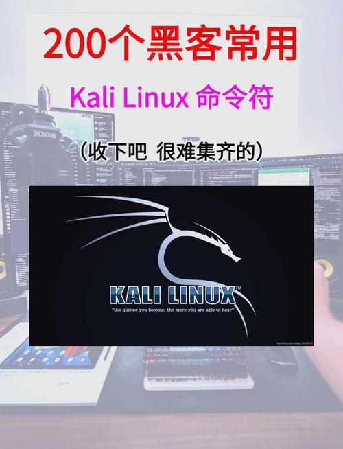 手机安装kali渗透测试_kaliLinux安全工具集_web渗透测试:使用kali linux