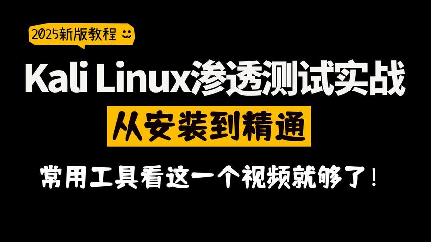 渗透测试使用的工具_渗透测试使用需求大幅增长_web渗透测试 使用kali linux pdf