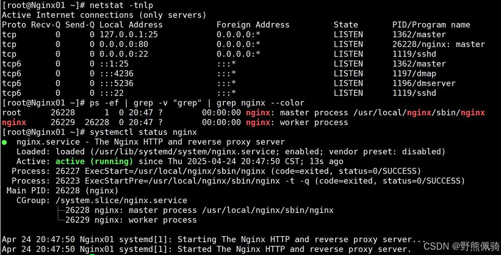 centos安装nginx_centos安装nginx_centos nginx 16安装