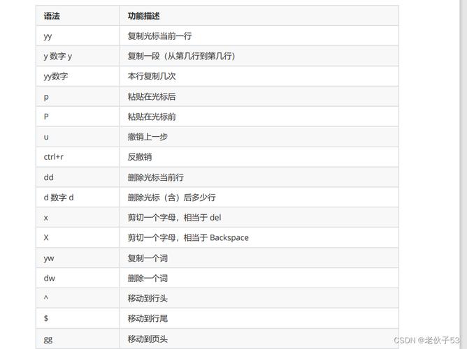 linux安装vim_Neovim高效开发环境_LazyVim配置系统