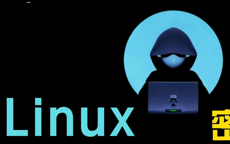 centos开发程序_CentOS 8停止更新_CentOS Stream替代方案