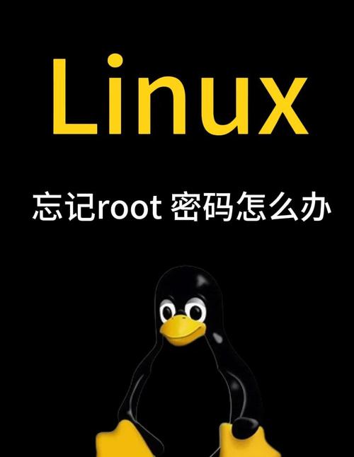 3分钟搞定Linux系统root密码重置_linux退出root用户_CentOS root密码重置教程