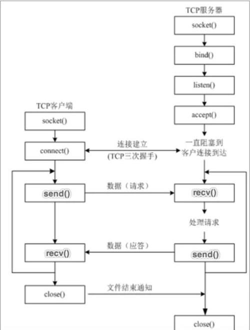 c语言头文件_linux sol_tcp 头文件_2025民代幼红头文件