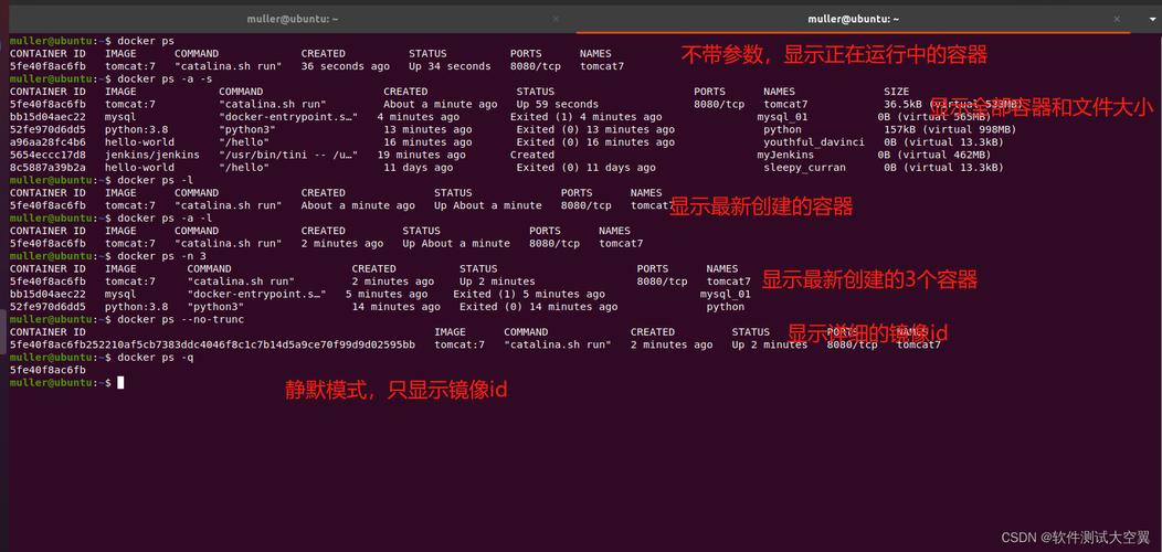 docker config.json_docker config.json_docker config.json