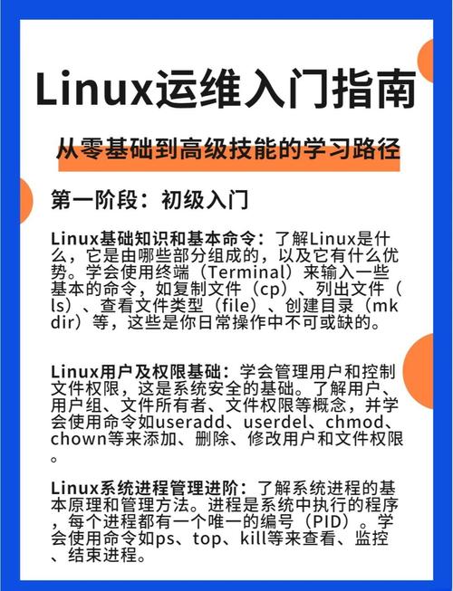 Linux常用操作_Linux基础入门指南_linux 查看作业