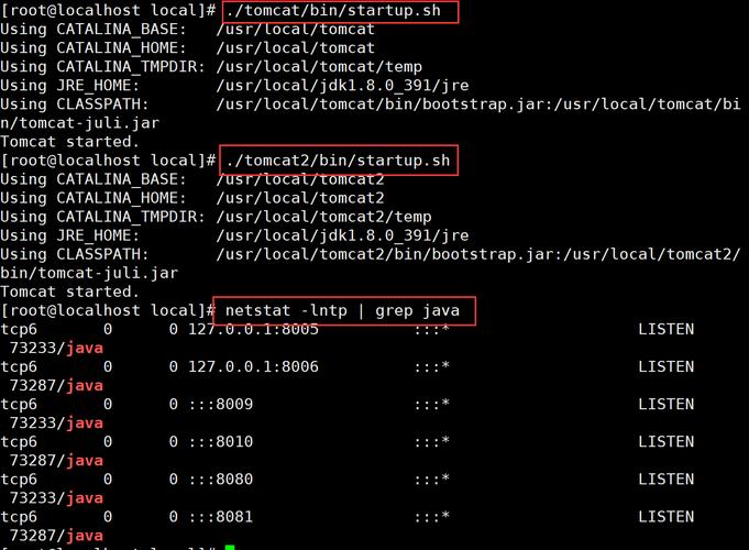 linux 启动tomcat命令_命令启动tomcat_命令启动任务管理器