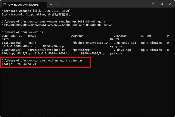 nvidia docker_nvidia docker_nvidia docker