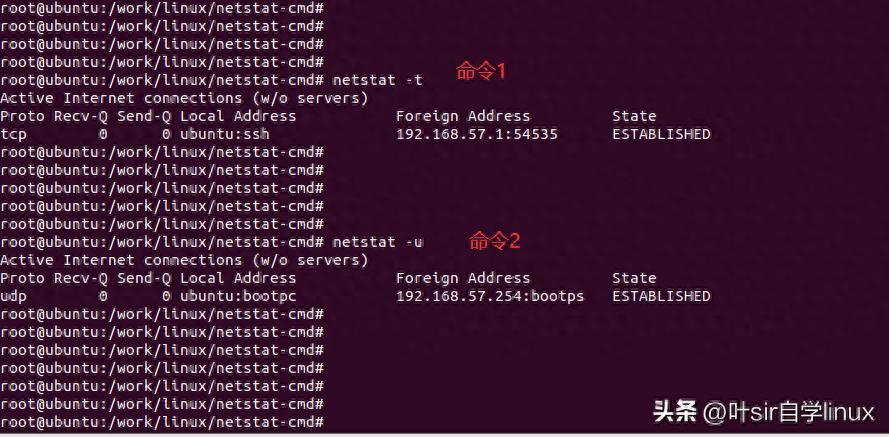 linux netstat_netstat显示网络连接状态_netstat命令参数用法